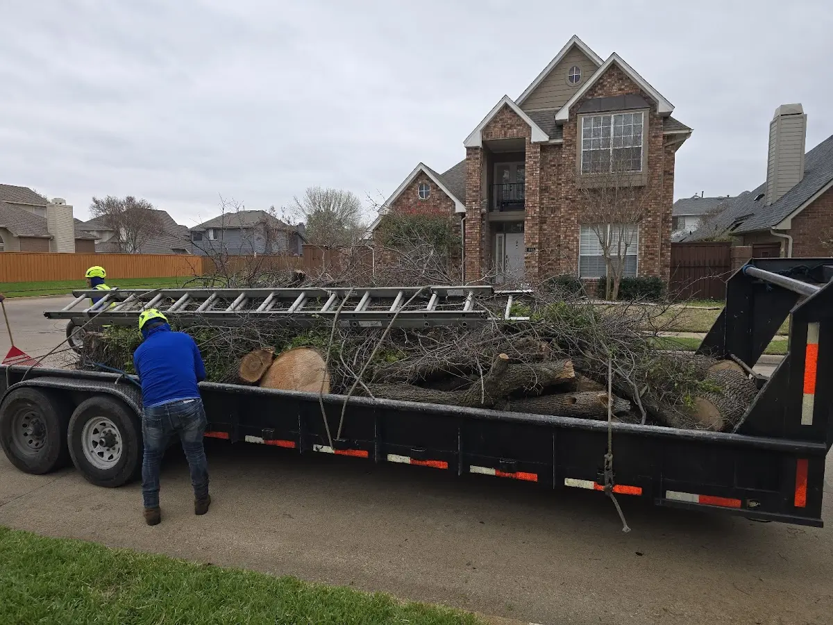 Expert Tree Removal with proper safety equipment in Lewellen